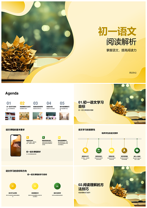 初一语文阅读解析有效方法提高阅读力PPT模板