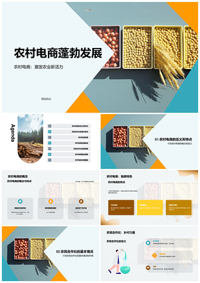 农村电商农产品发展机遇挑战与合作社作用经营模式PPT模板