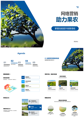 2025网络营销培训助果农拓电商销路PPT模板