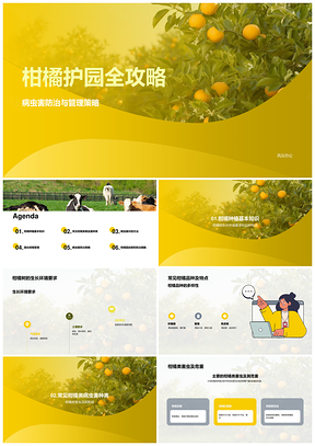柑橘种植与病虫害防治策略指南PPT模板