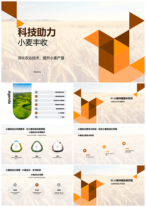 科技助力小麦种植技术增产增效PPT模板