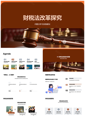 财税法改革税制不公法规滞后问题与优化建议PPT模板