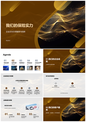 2025保险实力发展历程行业地位与企业文化产品服务理念PPT模板