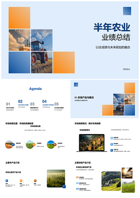 麦田农场半年运营效率与销售总结PPT模板