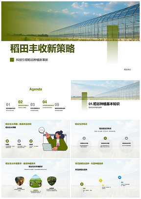 稻谷高产科技生态种植管理策略PPT模板