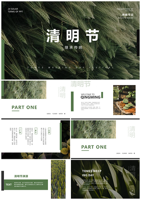 2025绿色大气简约清明传统节气绿植文化PPT模板