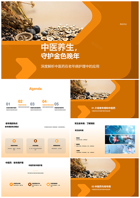 中医药护老防治高血压糖尿病老年病PPT模板