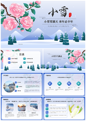 二十四节气小雪冬季降雪祭祖腌菜扫疥进补PPT模板