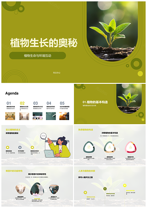 植物生长构造与光合护植环境互动PPT模板