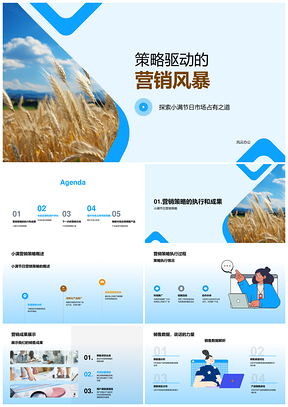 2025策略驱动小满营销提升市场占有率PPT模板
