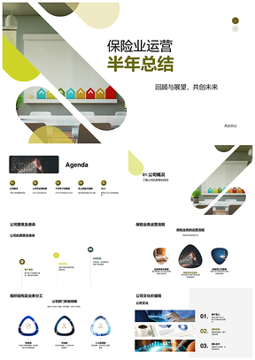 保险业半年运营总结财务总监愿景使命挑战目标团队合作PPT模板