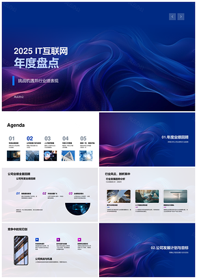 2025IT互联网年度盘点业绩趋势份额技术产品人才突破PPT模板