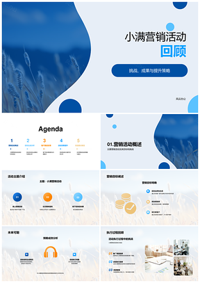 2025小满营销活动策划执行挑战目标达成数据分析效果提升客户反馈麦田回顾PPT模板