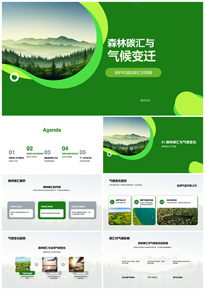 森林碳汇保护与增加应对全球气候变化PPT模板