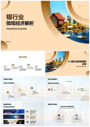 2025银行业微观经济风险管理与利率信贷策略PPT模板