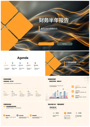 2025财务半年分析策略优化结构健康行业对比风控PPT模板