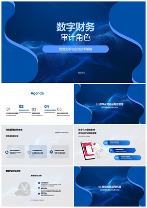 数字财务审计员管理变革与技术策略应对PPT模板