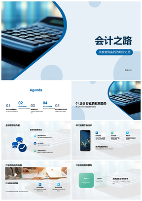 2025会计全球化技术化挑战机遇之路PPT模板