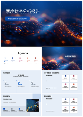 2025季度财务业绩运营分析预算绩效健康评估策略PPT模板