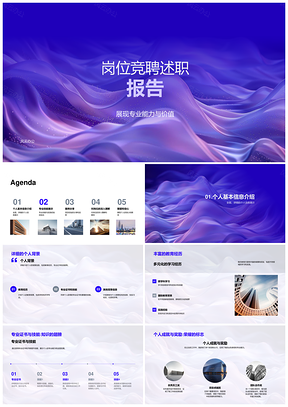 竞聘述职专业能力教育背景证书项目应用价值PPT模板