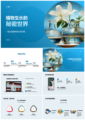2025植物生长要素科学实验探秘PPT模板