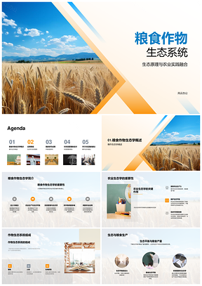 粮食作物生态系统农业实践与小麦田可持续管理PPT模板