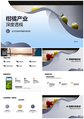 柑橘种植历史现状与市场前景分析PPT模板