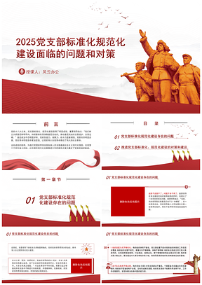 2024党支部标准化规范化建设问题对策课件