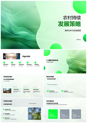 农村持续发展策略与可持续农业经济环境责任PPT模板