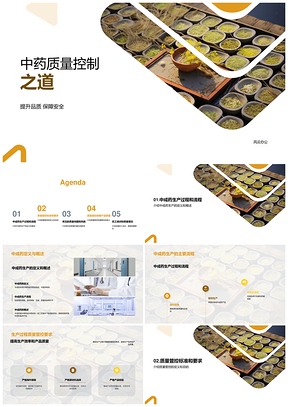 中成药生产质量管控流程法规与标准PPT模板