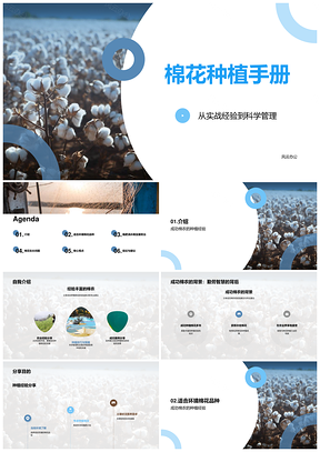 2025棉农经验分享初次种植气候季节指南PPT模板