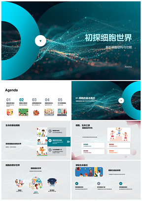 细胞结构功能与细胞器探秘PPT模板