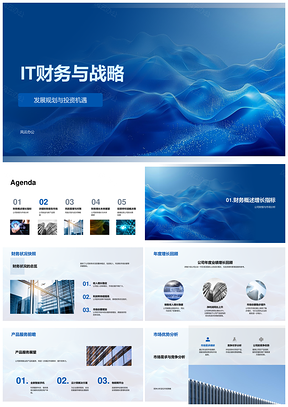 IT财务战略发展规划投资机遇分析PPT模板
