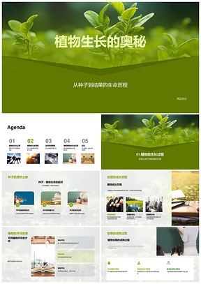 植物生长种子发芽幼苗开花结果新种养护PPT模板