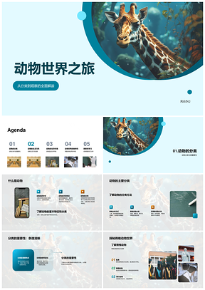 动物世界多样分类与习性环境保护PPT模板