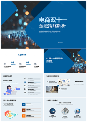 2025电商双十一金融策略合作伙伴消费习惯风险控制业绩PPT模板