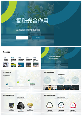 光合作用光暗反应原理与生态影响PPT模板