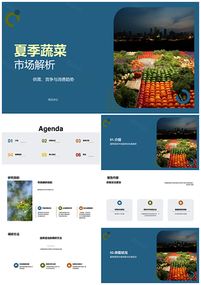 夏至蔬菜市场供需竞品消费趋势调研分析PPT模板