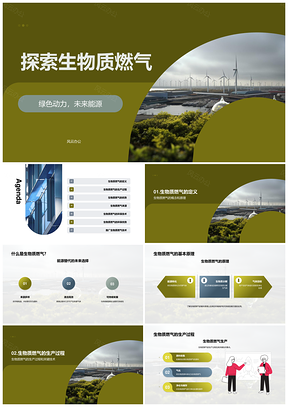 环保组织年会展示生物质气化器生产技术原理PPT模板