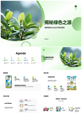 植物根茎叶花光合绿叶叶绿素之源PPT模板