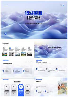 2025旅游项目创新策略定制市场需求互动体验竞争分析PPT模板