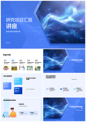 研究项目汇报讲座主题概述PPT模板