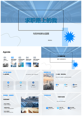 求职路上的我职业蓝图与胜任理由PPT模板