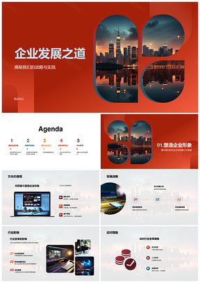 企业发展长期战略定位与数字化转型实践PPT模板