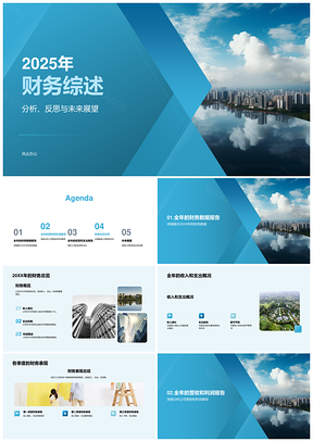 202520XX年财务综述收支表现利润增长投资支出业务摩天大楼PPT模板