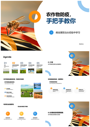 农作物病虫害防治农民经验轮作间作PPT模板