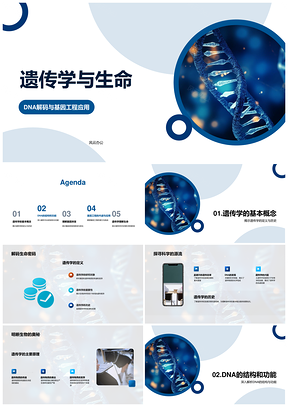 遗传学基因工程DNA解码复制与表型表达PPT模板