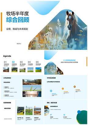 牧场半年度业绩挑战与策略调整分析PPT模板