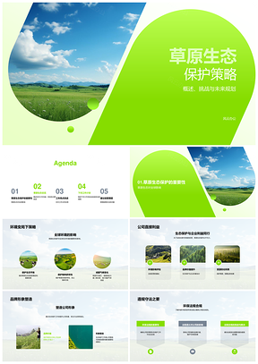 草原生态策略应对环境变局护全球生态与公司合规PPT模板