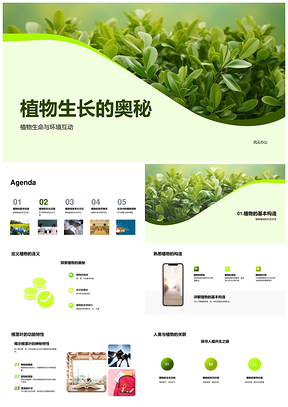 植物生长光合作用与环境保护奥秘PPT模板